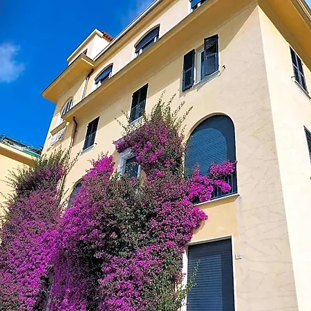 Bouganville House In The Center - Amazing Sea View *